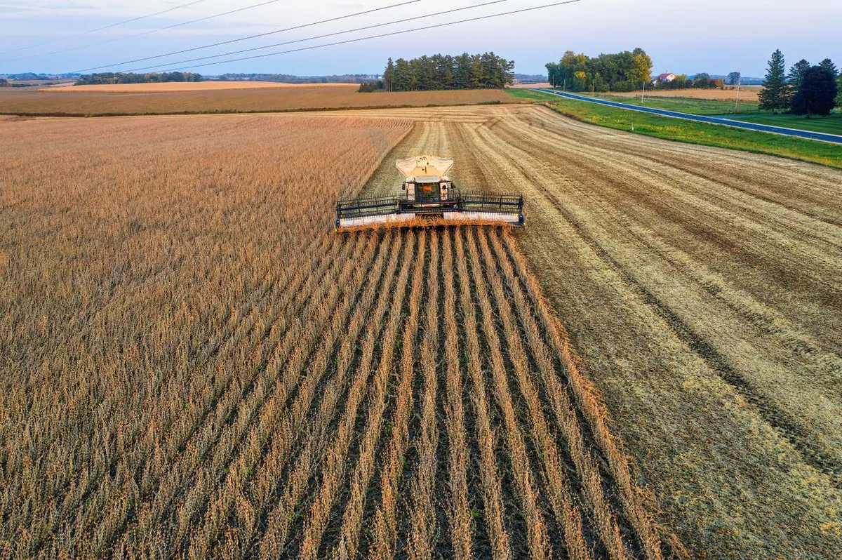 Combine harvesting soybeans, the source of soybean meal compared with DDGS