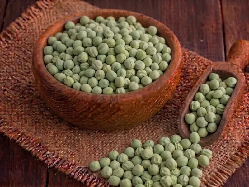 Dried green peas for snacks, soups and pea protein uses