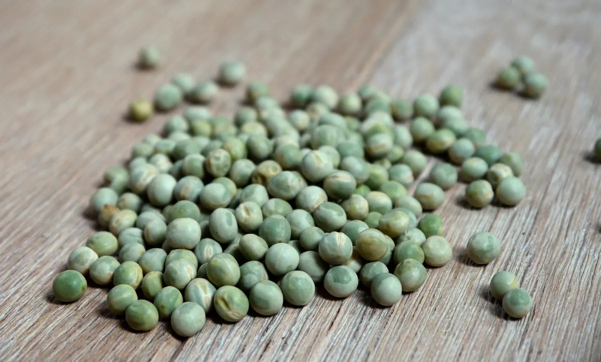dried green peas checked for colour and size
