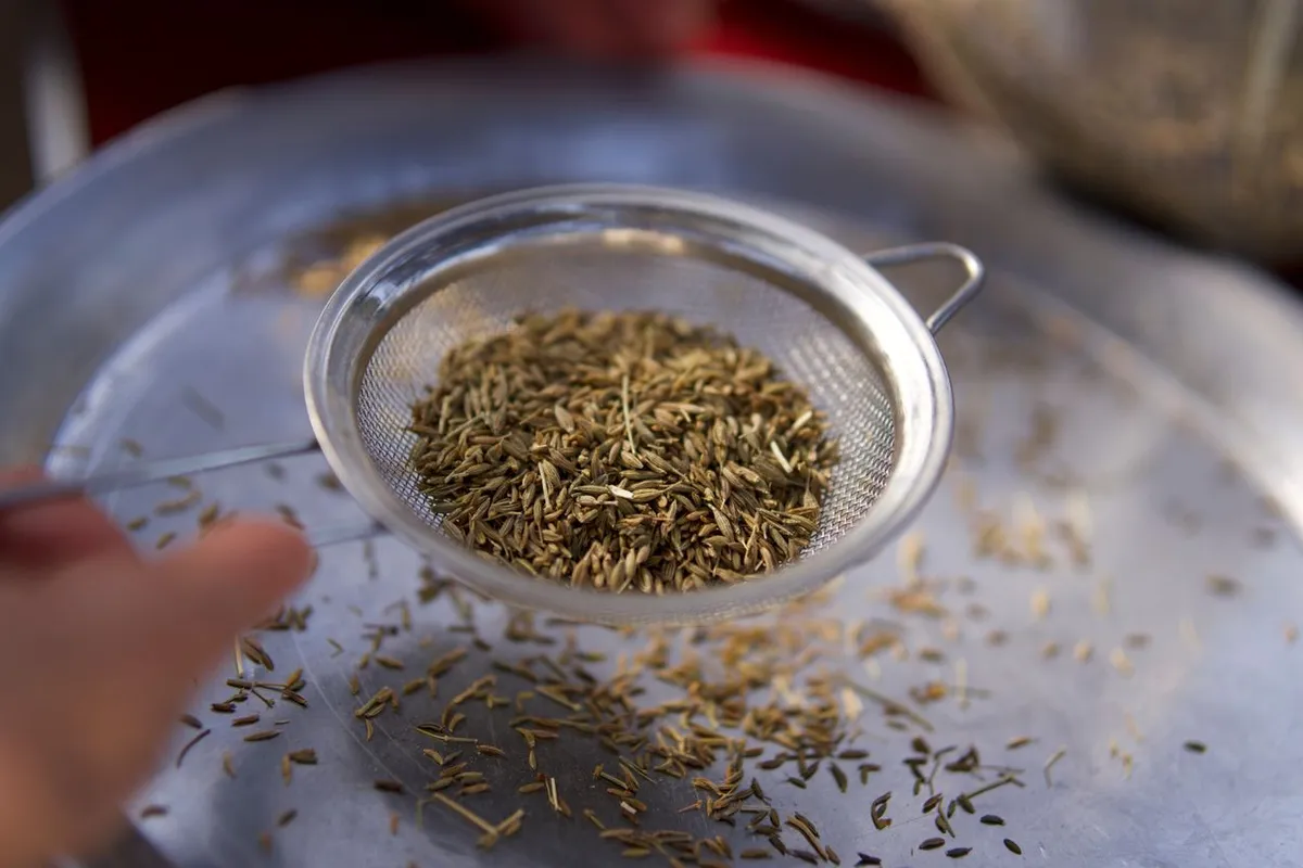 Cumin seeds sieved during cleaning to reduce residues