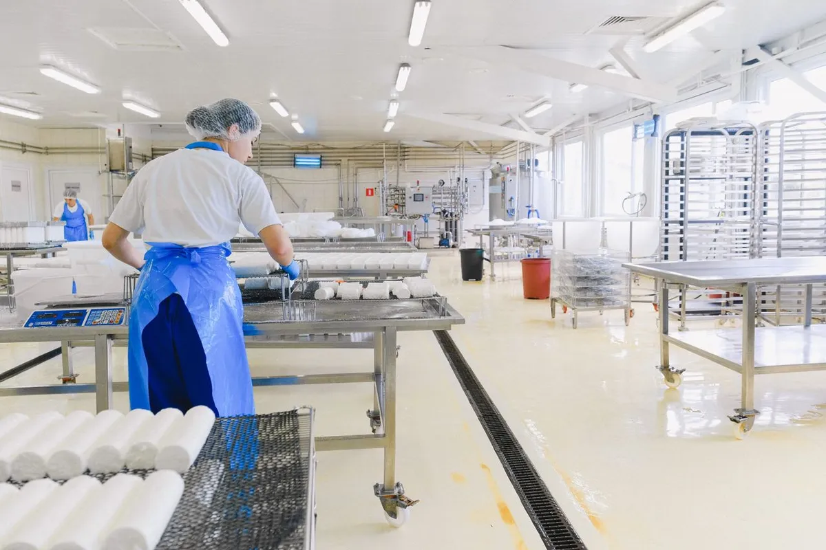 Clean food processing hall following FSSAI hygiene rules for licensed exporters