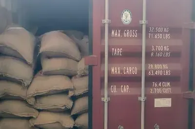 Jute bags loaded in a container ready for fumigation and sealing