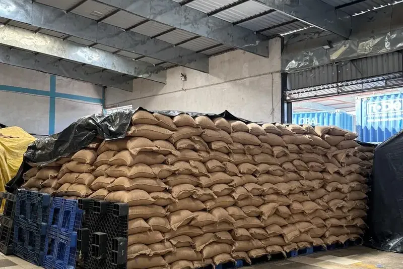 Stacked jute bags in a warehouse awaiting fumigation