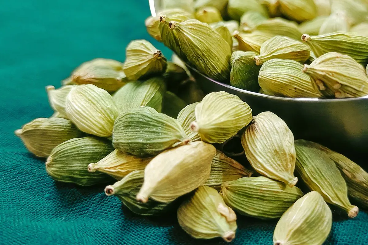 Green cardamom, a spice developed by the Spices Board of India