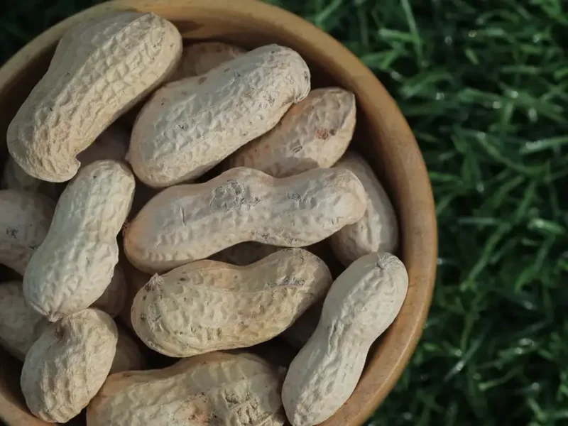 In-shell peanuts, also known as groundnuts