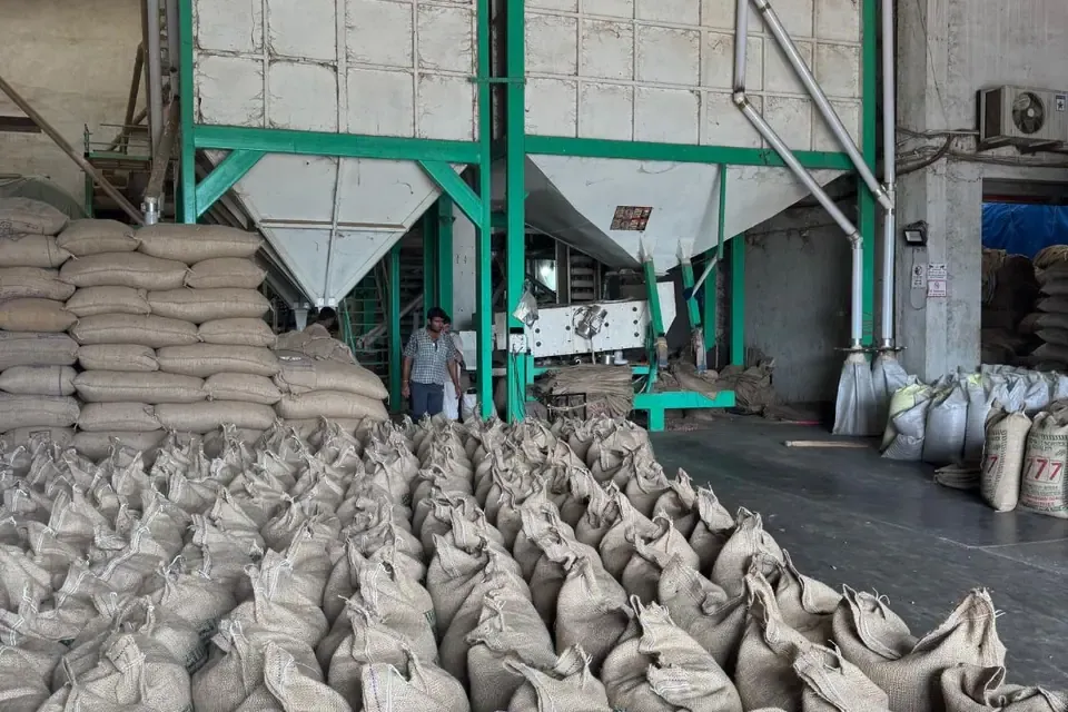 Pulses cleaning and grading plant used before the dal mill process