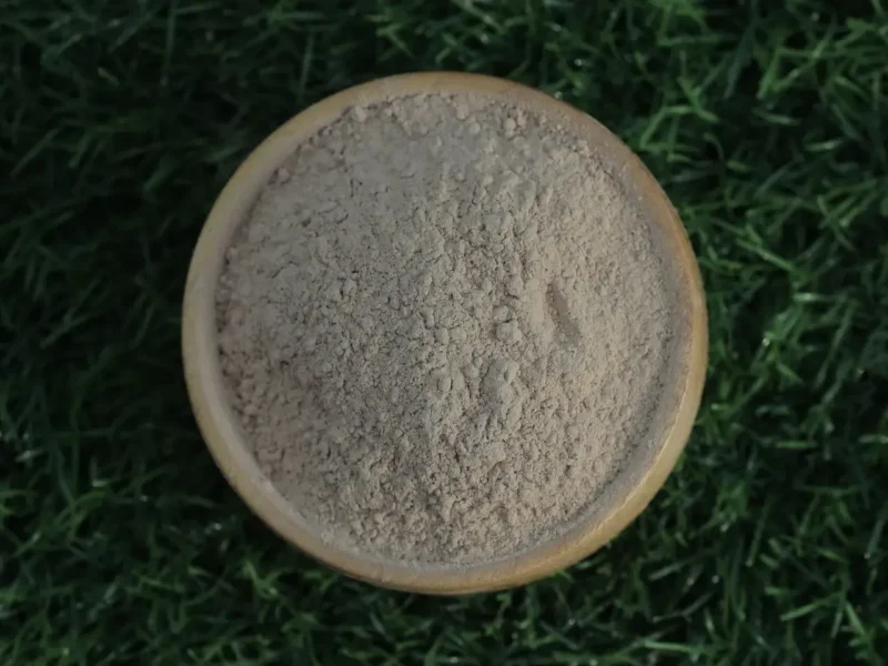 Dehydrated garlic powder made from dried garlic flakes