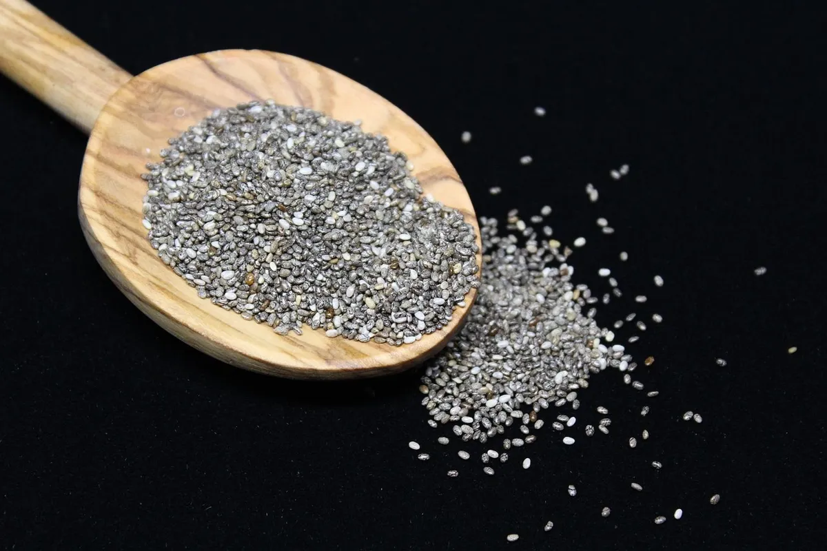 Dry chia seeds on a wooden spoon before soaking