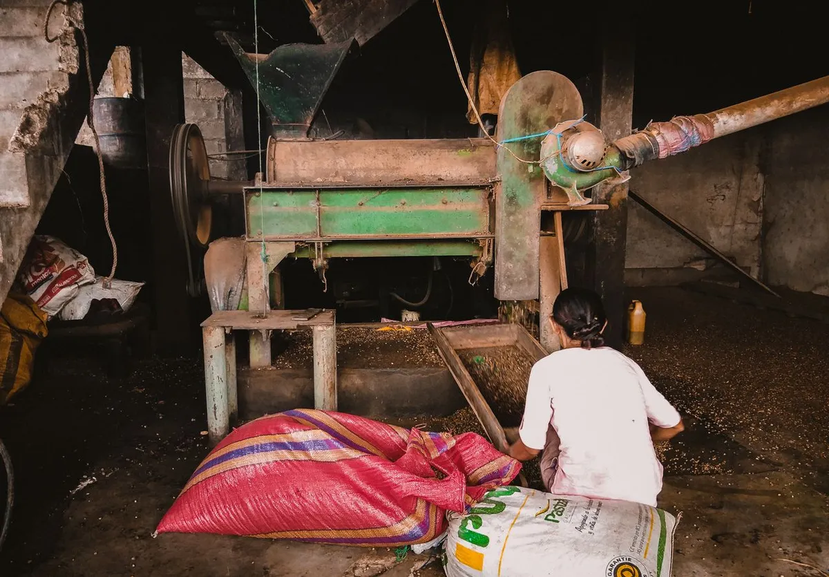 Maize milling machine used in the corn milling process