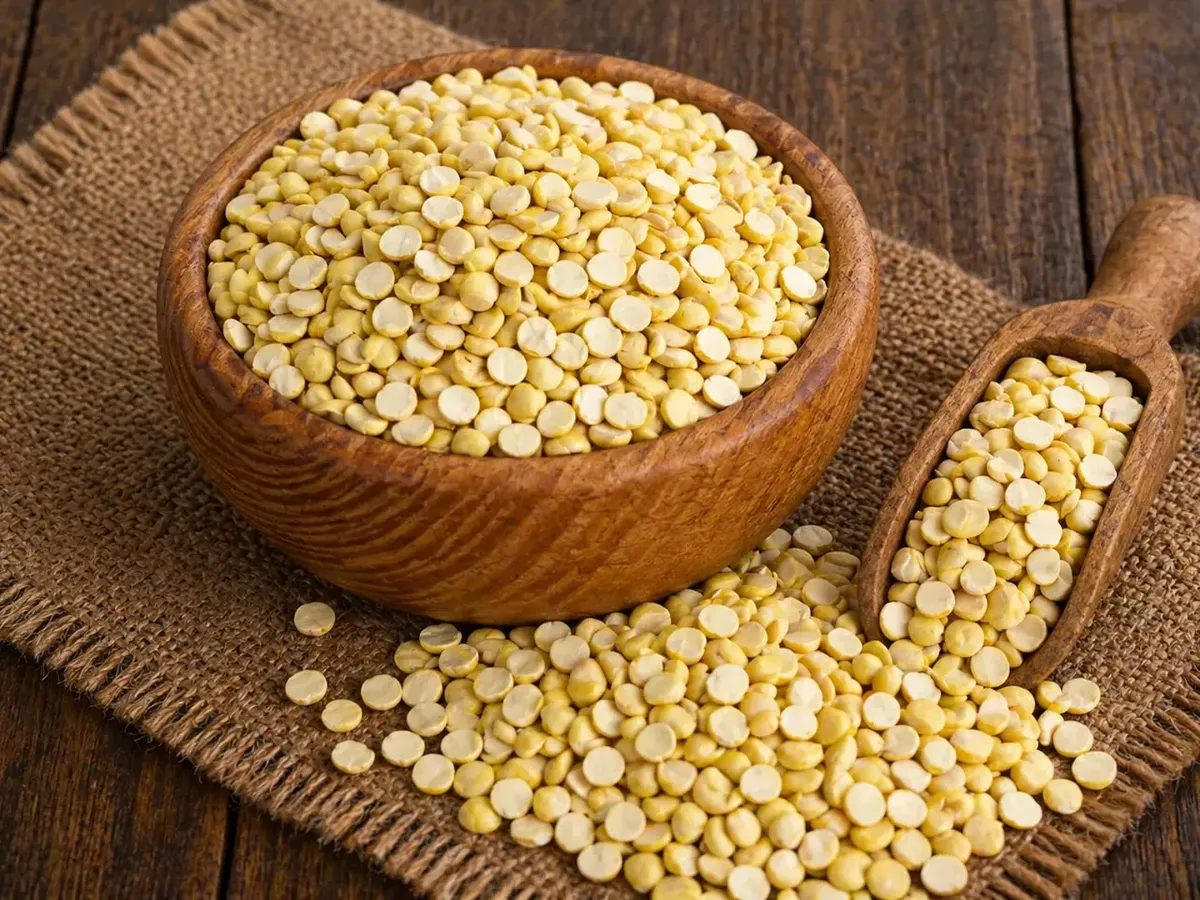 Roasted chana dal made by dehulling and splitting roasted chana