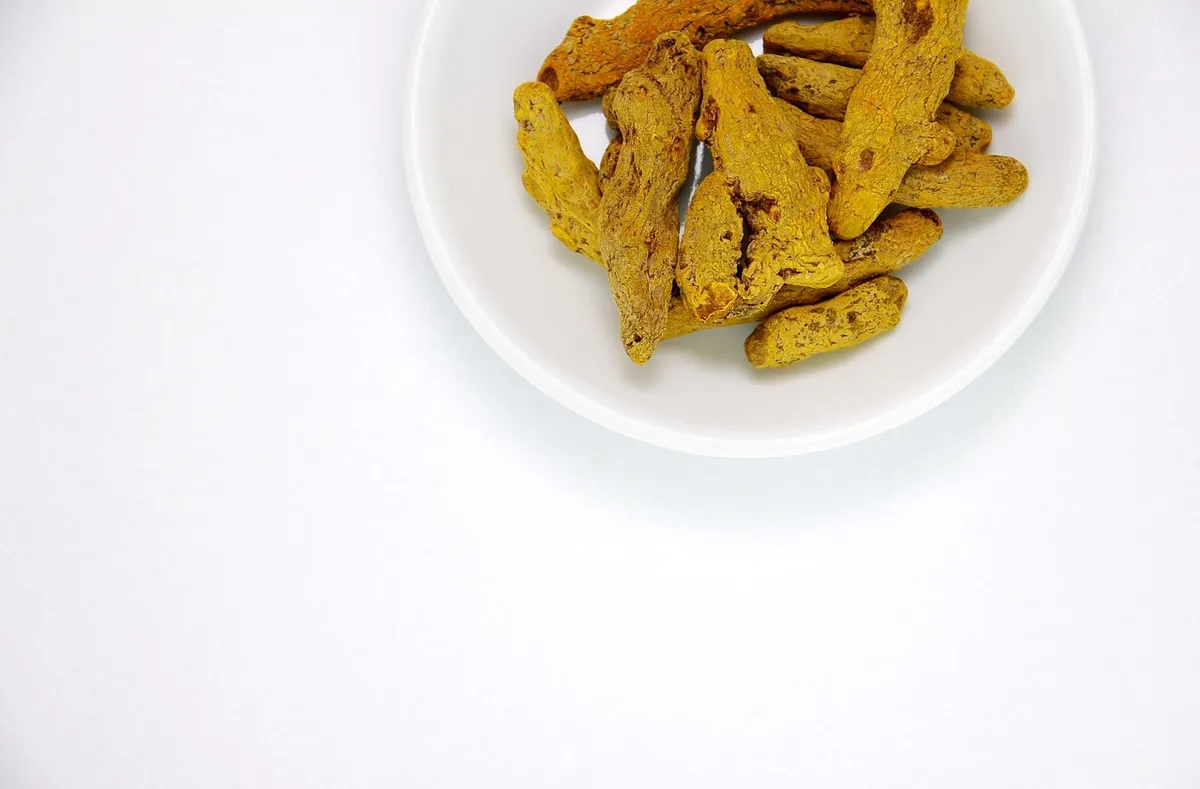 Dried turmeric rhizome pieces after boiling and sun drying