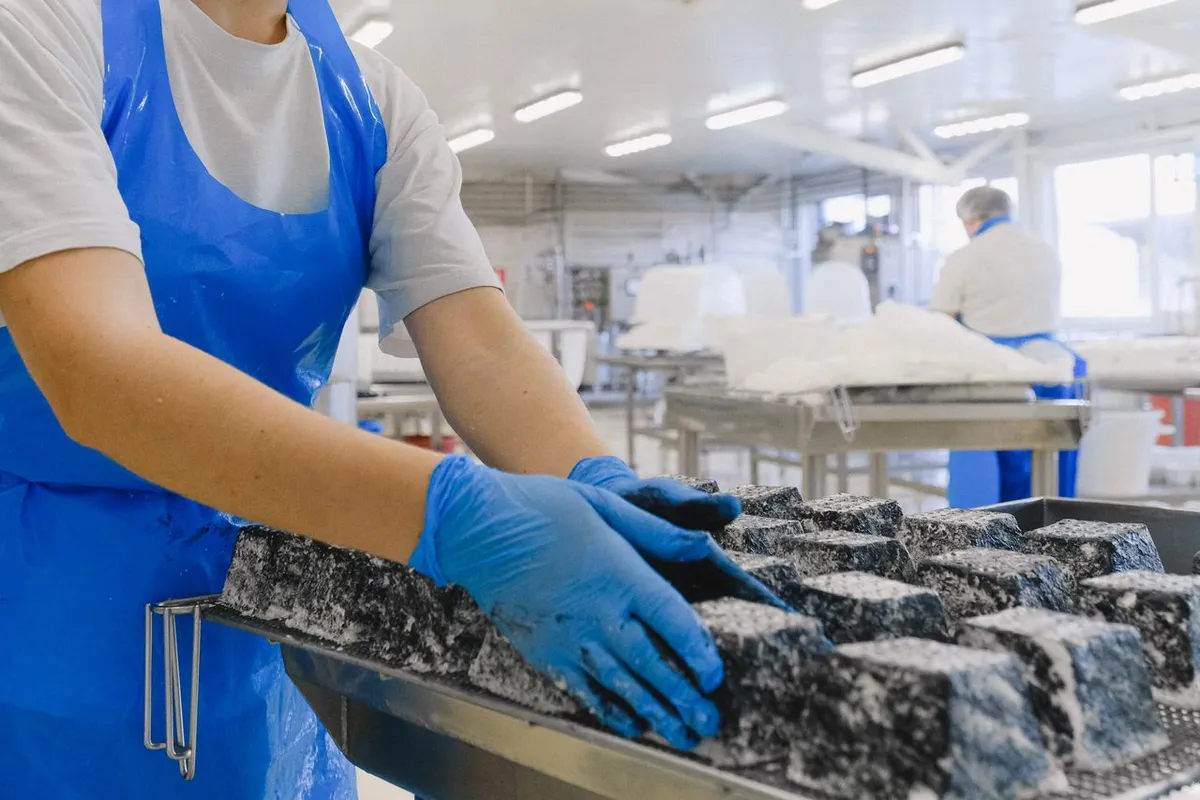 Gloved hands handling food on a clean line under a HACCP-based food safety system