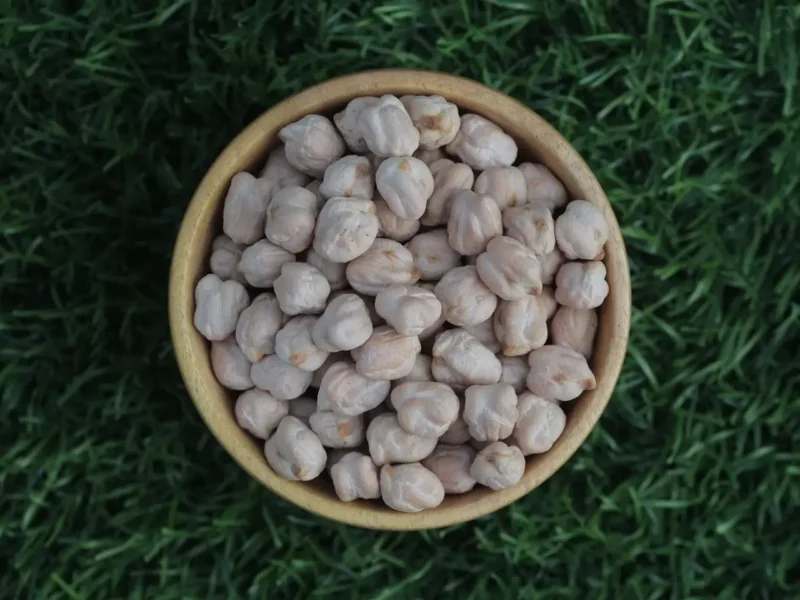 Kabuli chickpeas from India, compared with desi chana for export buyers