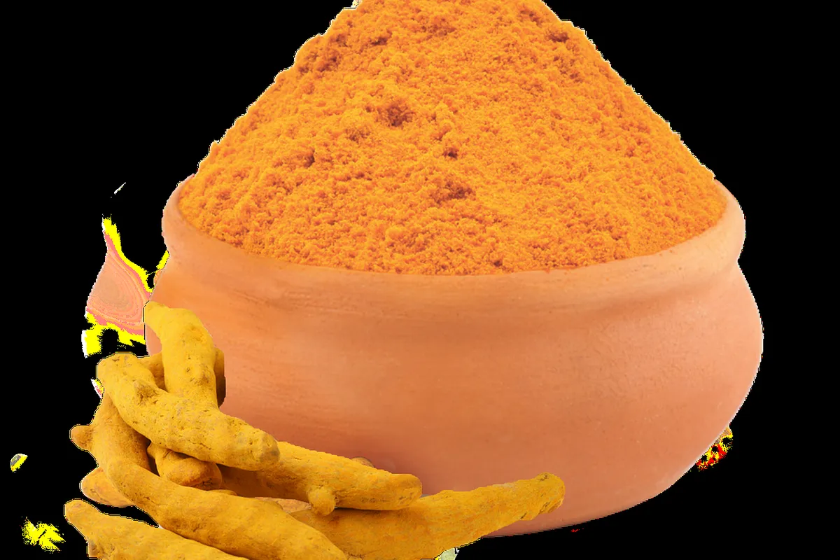 Dried turmeric fingers and powder ground from tested fingers