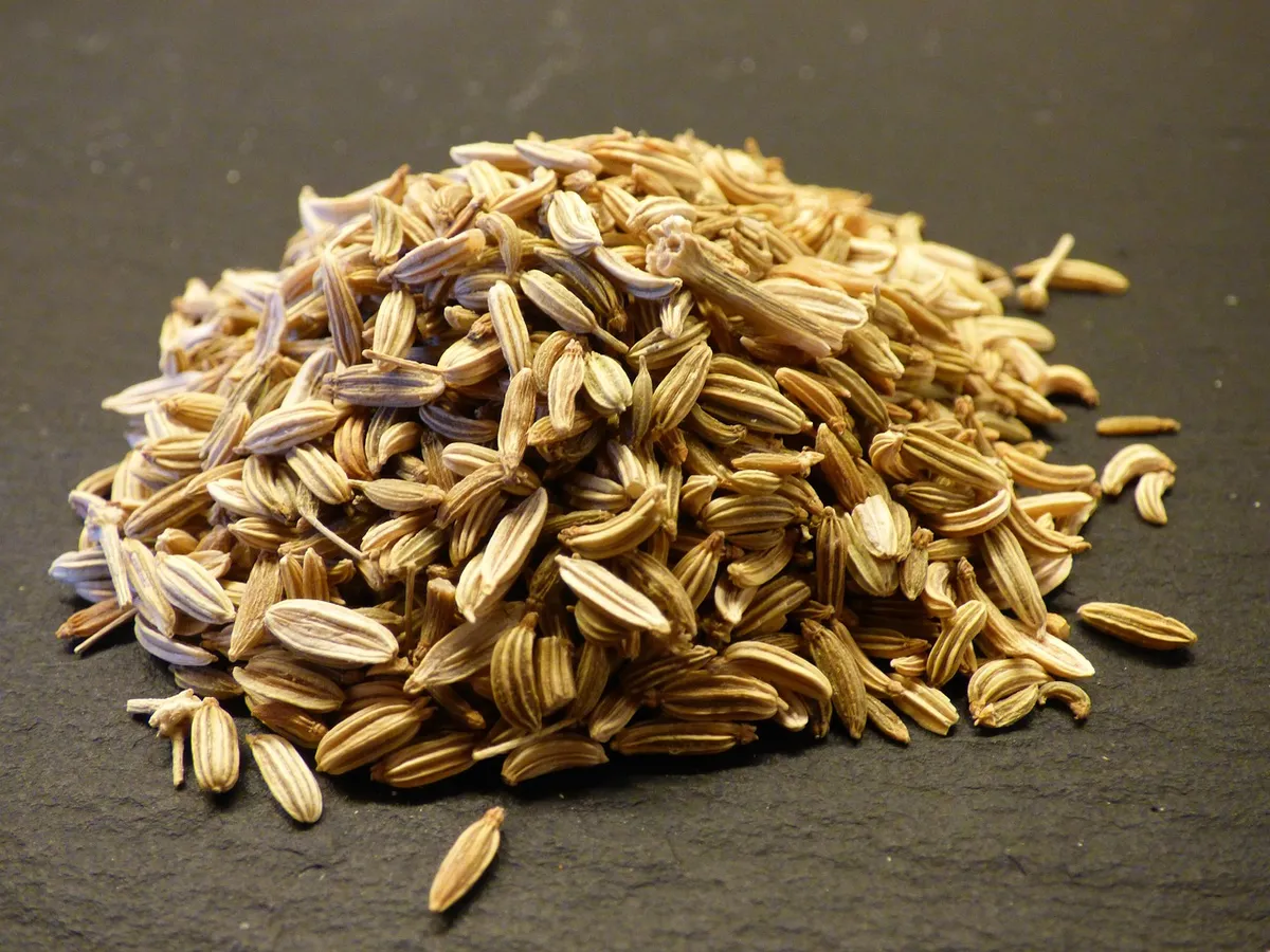 Fennel seeds, known as saunf, one of India's main seed spices