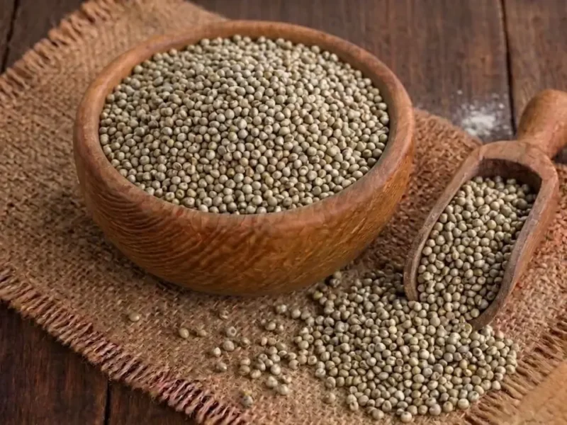 Indian millet grain for export, rich in fibre and minerals