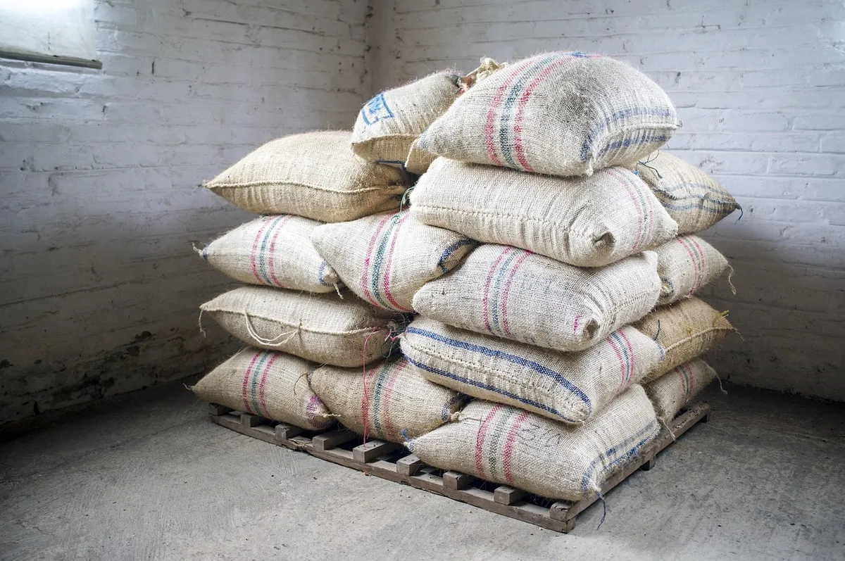 Bagged grain stored on pallets to keep moisture content stable