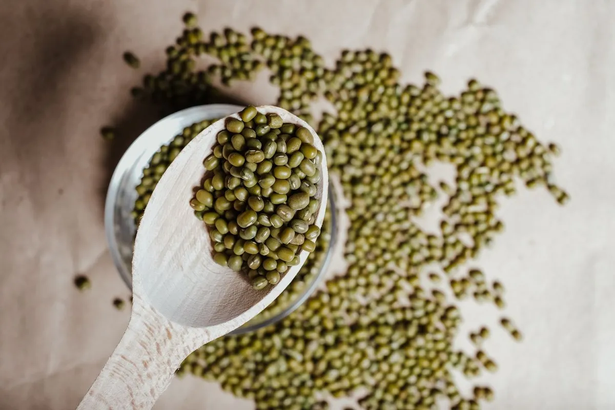 Whole green moong beans in a scoop, a pulse rich in protein and fibre