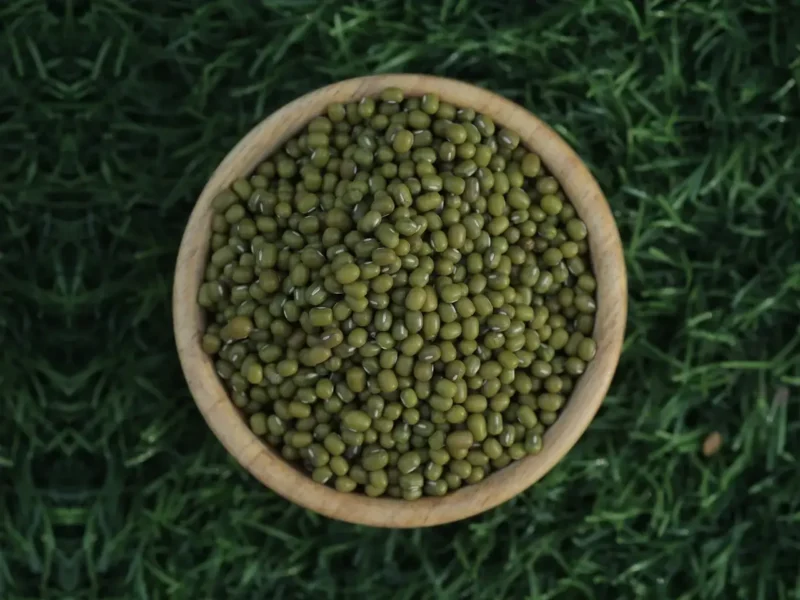 Export-grade green moong beans graded by size
