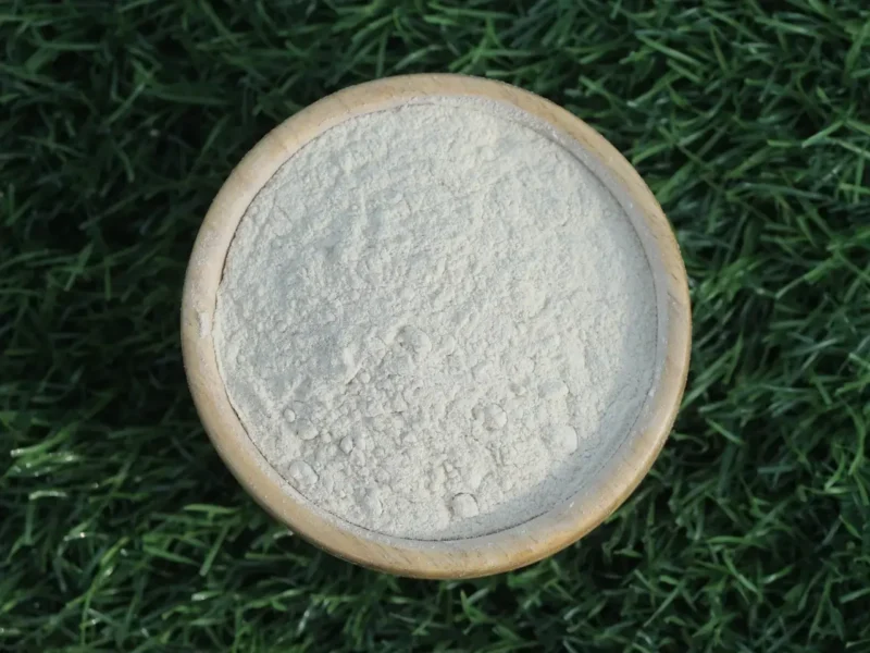 White onion powder compared with fresh onion