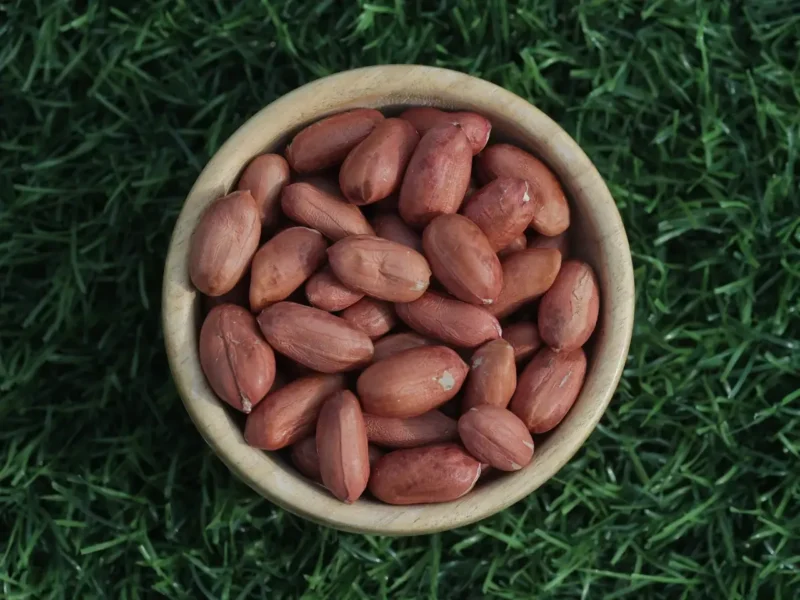 Bold groundnut kernels graded by count size
