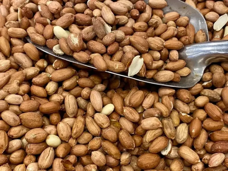 Peanut kernels, a source of about 25.8 g protein per 100g