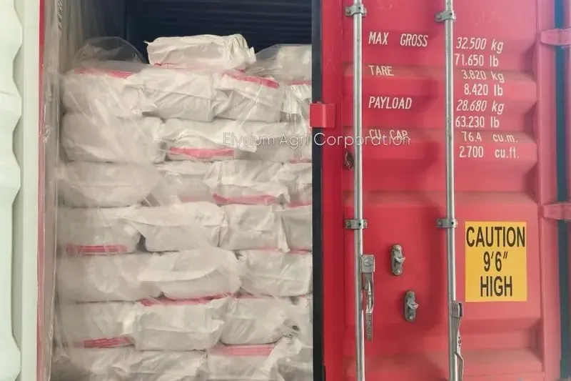 White PP bags stacked in a 40 ft high cube export container