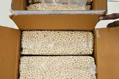 Vacuum packs of blanched peanuts in an export carton