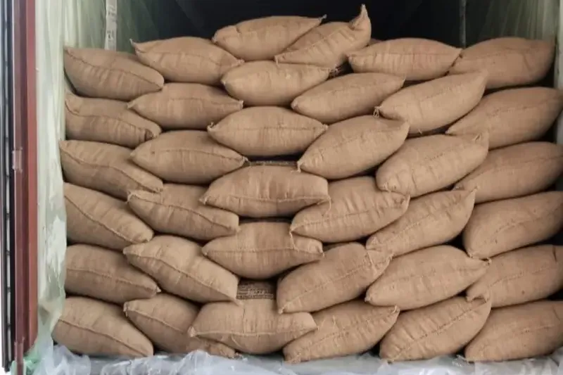 Export container fully loaded with jute bags