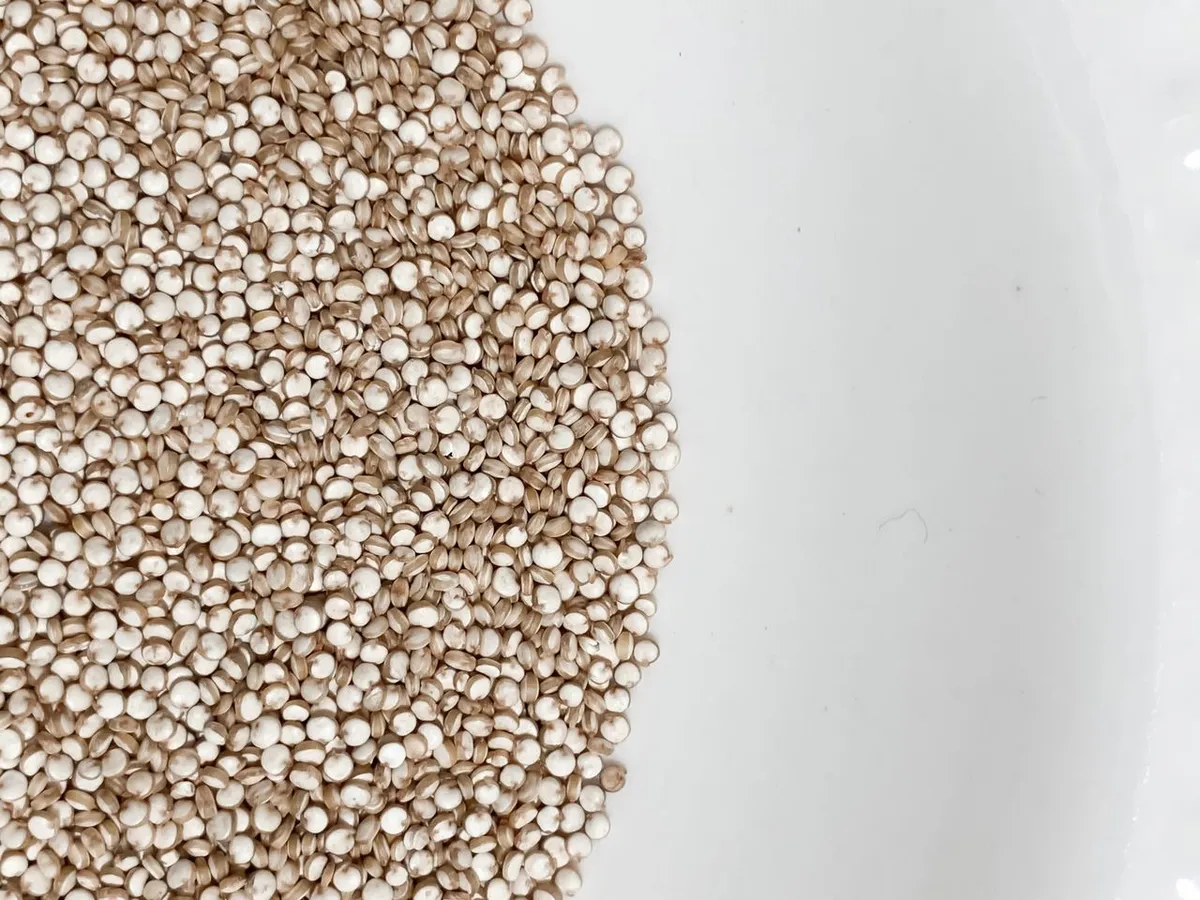 white quinoa grains close up for quinoa vs chia comparison