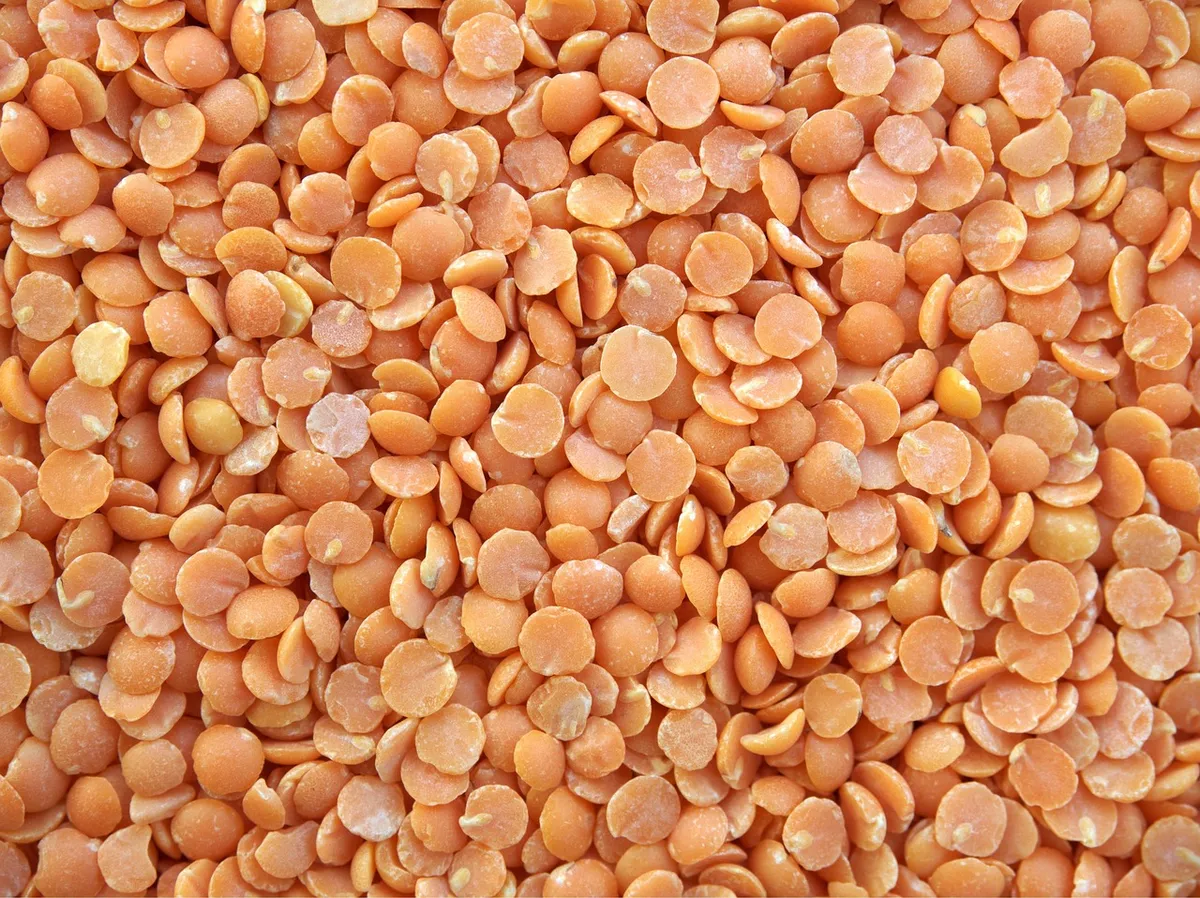 Close-up of red split lentils (masoor dal)
