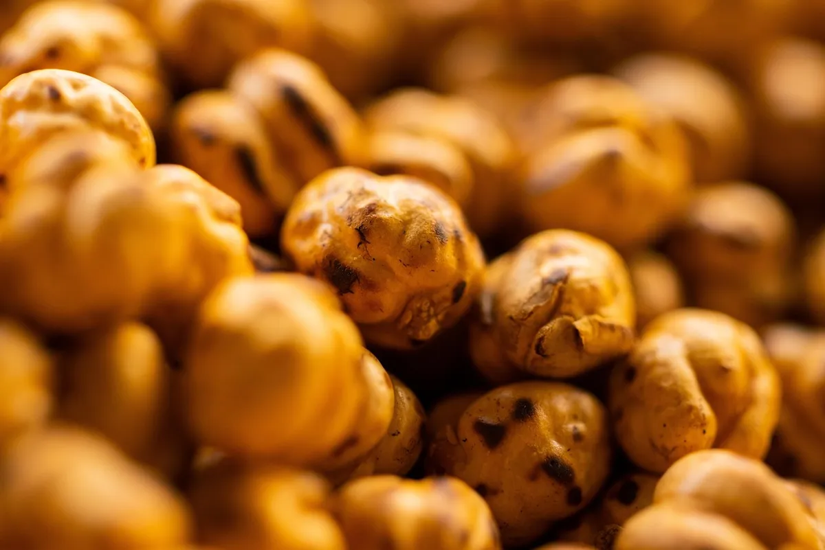 Close-up of roasted chana with skin showing roasted chana benefits as a crisp snack