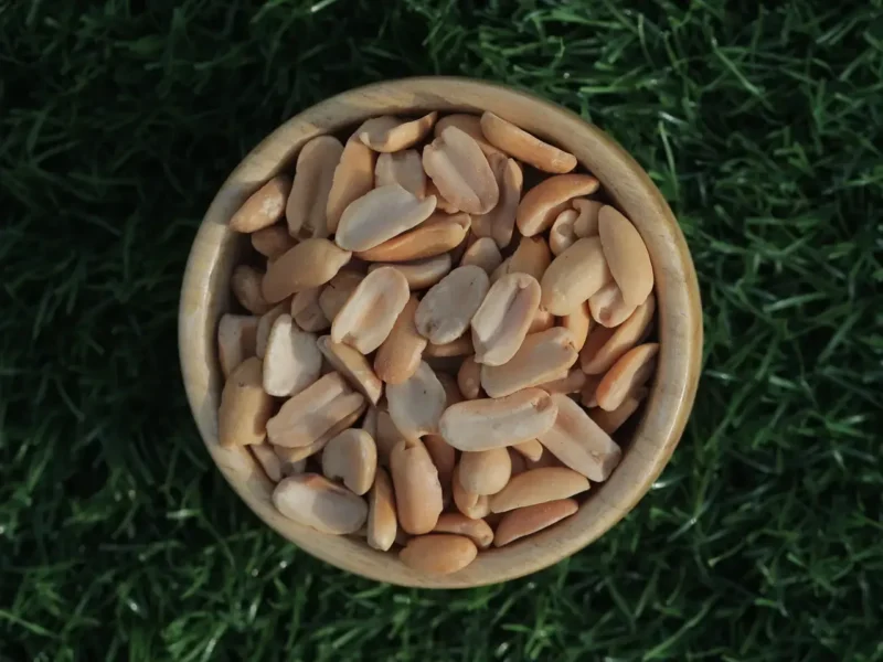 Dry-roasted peanuts showing roasted peanut calories and nutrition