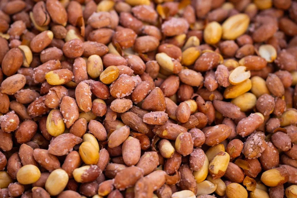 Roasted peanuts with red skins as a high-protein snack
