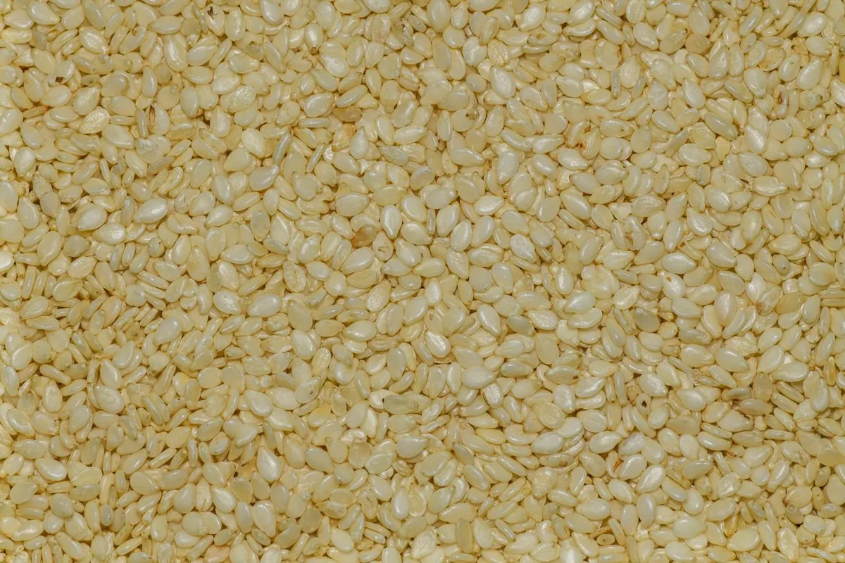 Close-up of natural sesame seeds checked for Salmonella before export