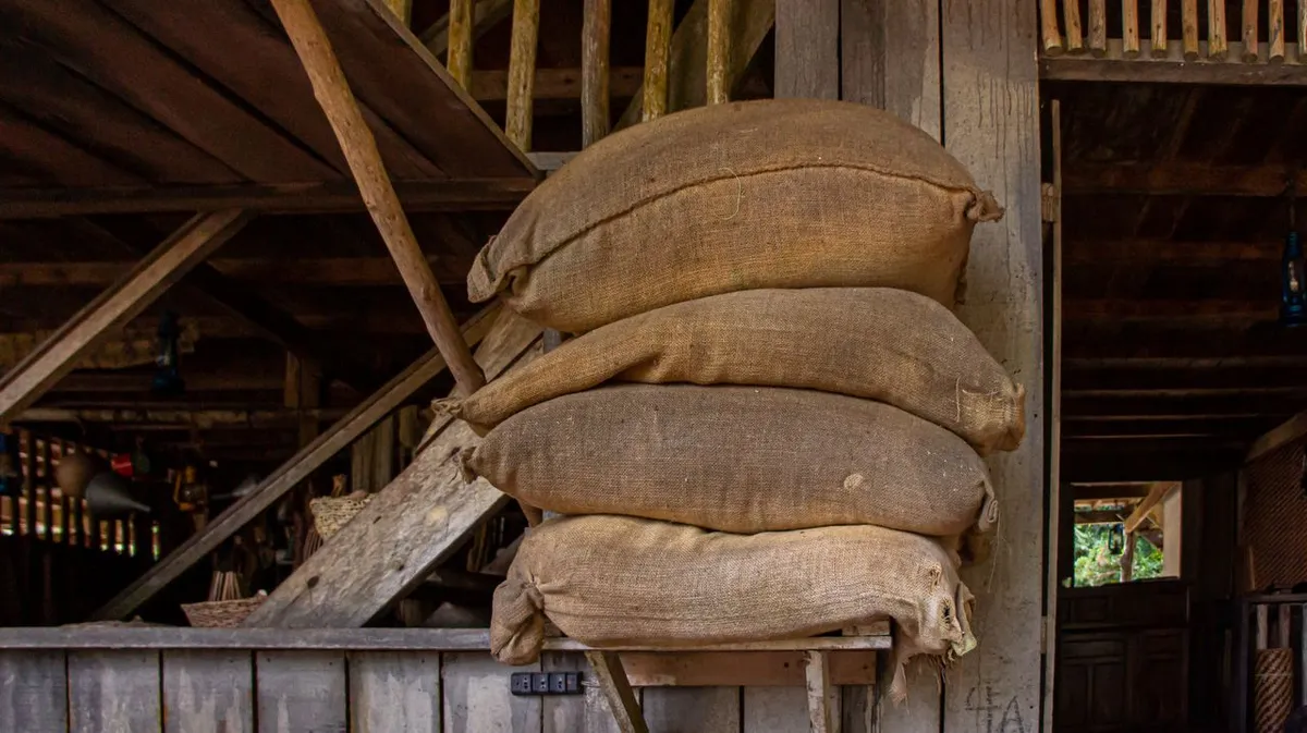 Stacked jute sacks of grain where bulk sampling must reach all layers