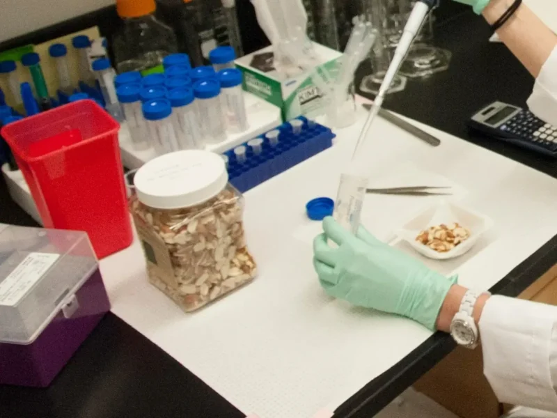 Grain and peanut samples on a lab bench, prepared after sampling of bulk commodities