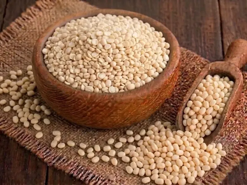 Types of urad dal: whole black gram exported from India