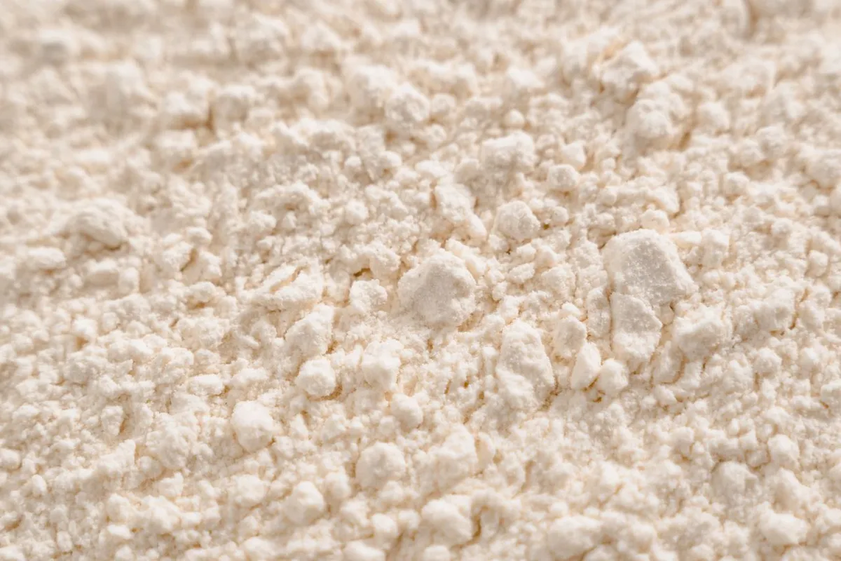 Fine white onion powder texture